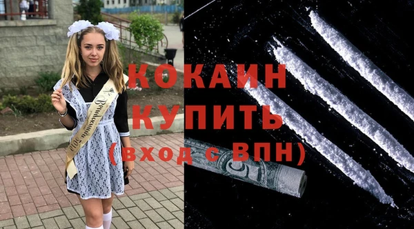 прущие грибы Армянск