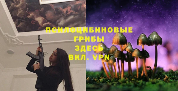 герыч Арсеньев