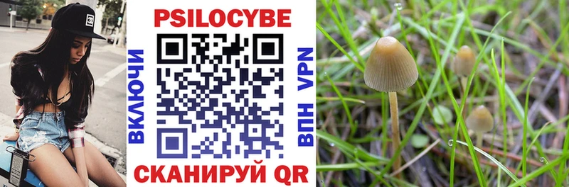 Псилоцибиновые грибы ЛСД Удомля