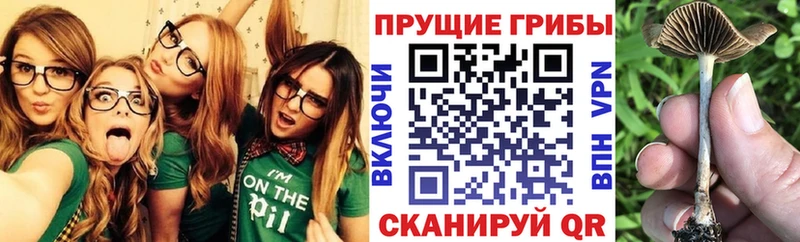 Галлюциногенные грибы прущие грибы  сколько стоит  Удомля 